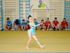 Гимнастическое шоу 2015