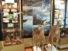 Лучший экскурсовод 17 апреля 2016 года