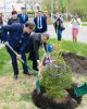 Юбилею профессора посвящается