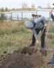 Помощь ветерану педагогического труда!