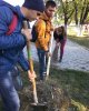 Генеральный субботник