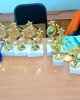 В СКГУ прошли соревнования по казакша курес «Университет барысы»