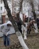 Первый весенний субботник в СКГУ им.М.Козыбаева