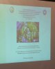 М. Қозыбаев атындағы СҚМУ-да «Ана тілін оқытудағы халықтық педагогика» атты өңірлік ғылыми-әдістемелік интерактивті семинар өтті