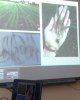 Заседание секции «Сельскохозяйственные науки» в рамках международной научно-практической конференции «Козыбаевские чтения-2018»