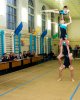 Гимнастическое шоу - 2018 