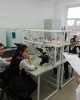 В рамках кружка "Юный биолог" проведено занятие "Клеточное строение организмов"
