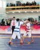 Открытый турнир по қазақша күрес на Кубок ректора СКГУ им. М. Козыбаева