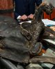 Н. Ә. Назарбаевтың «Ұлы даланың жеті қыры» атты мақаласын талдау мақсатында дөңгелек үстел