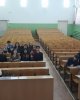 Предметная олимпиада по логопедии