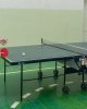 Университетімізде үстел теннисінен жарыс өтті