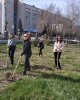 Субботник
