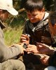 Впервые в Казахстане помечены краснозобые казарки и серые гуси!