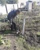 Кто если не молодежь? 