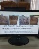 Международное сотрудничество
