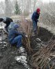 Студенттер аллеясы