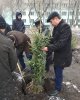 Студенттер аллеясы