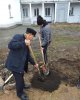 Студенттер аллеясы