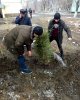 Студенттер аллеясы