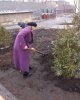 Студенттер аллеясы