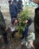 Студенттер аллеясы