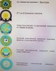 Победа Финансистов