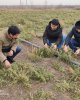 Встреча заведующего кафедры "Агрономия и лесоводство" АФ с проректором Университета Сельского и Лесного хозяйства Северо-Западного Китая.