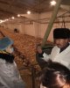 Неделя АФ на факультете Foundation
