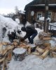 На помощь – старшему поколению!