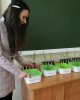 Результаты СНО