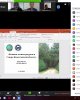 Круглый стол онлайн-формата «Развитие лесных ресурсов в Северо-Казахстанской области»