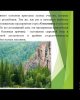 Актуальные проблемы сельскохозяйственных наук (работа секции)