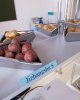 Қозыбаев университетінде «Ауыл шаруашылығы өсімдіктерінің биотехнологиясы» зертханасы ашылды