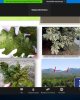 Вебинар FAO