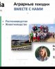 Практика в Германии!