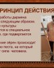 "Бірегей экспонат/құжат" байқауы