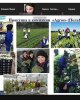 Встречи с выпускниками 