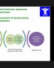 «Жаратылыстану  ғылымдарының өзекті мәселелері» атты IX халықаралық ғылыми-практикалық конференция өтті