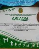 Біздің спортшыларымыз тағы да биік тұғырынан көрінді!