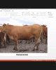 Приоритеты агропромышленного комплекса: научная дискуссия