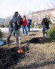 Kozybayev University присоединился к общегородскому субботнику