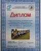 В ЗДОРОВОМ ТЕЛЕ – ЗДОРОВЫЙ ДУХ!