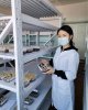 Конкурс по созданию в кампусе зеленой среды