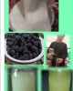Конкурс по созданию в кампусе зеленой среды