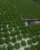 Студенты будут обучаться по методикам профессоров из Израиля
