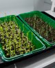 1 400 000 тенге получили студенты на реализацию своих проектов