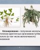 Недели качества 
