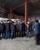 Занятия на базе предприятий-партнеров