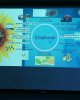 Syngenta компаниясынан семинар