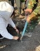 Реализация нацпроекта «Зеленый Казахстан»